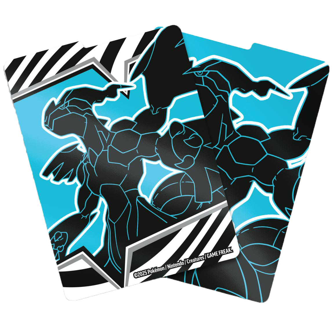 Black Bolt Elite Trainer Box (Black Bolt & White Flare)