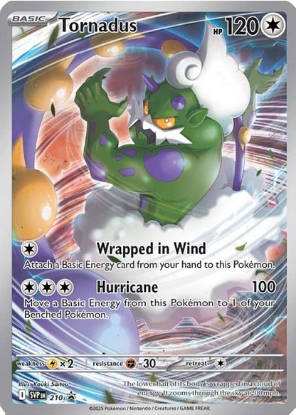 White Flare Elite Trainer Box (Black Bolt & White Flare)